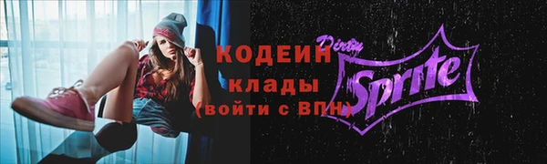 шишки Нязепетровск