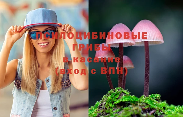 шишки Нязепетровск