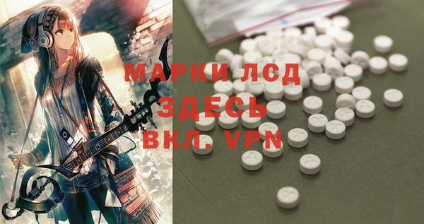 шишки Нязепетровск