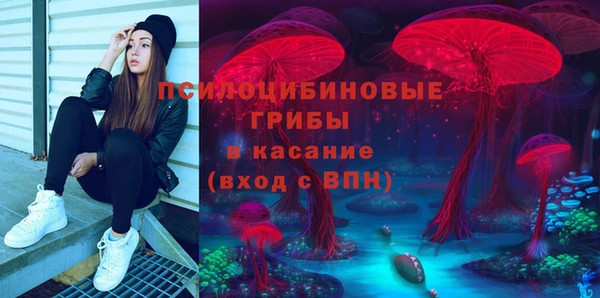 шишки Нязепетровск