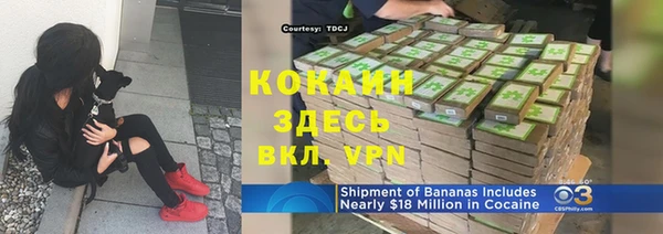 шишки Нязепетровск
